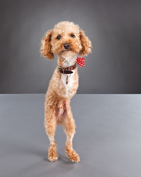 Артем Пономарев | Минск