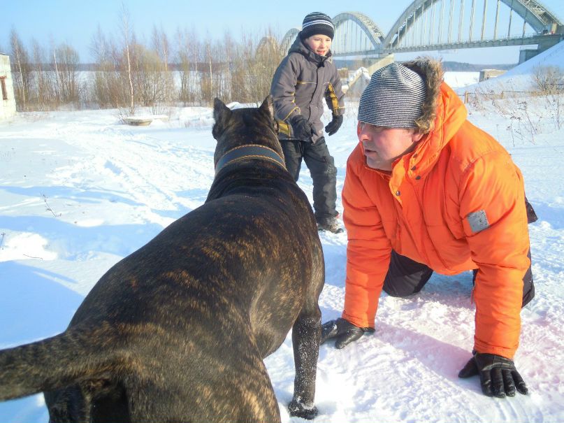 Дмитрий Рушаков | Подольск