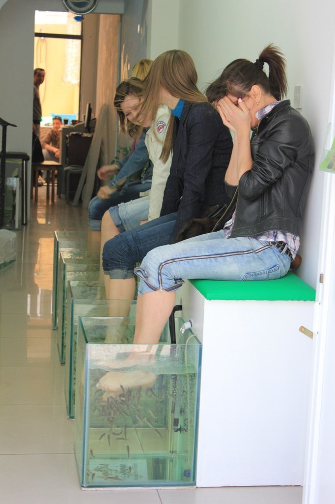 Анюта Ткачук | 