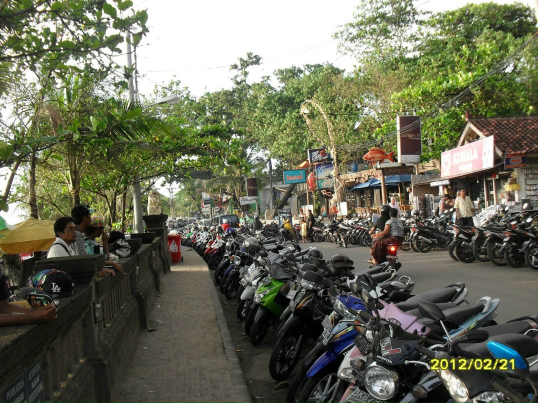 Алиса Бережная | 