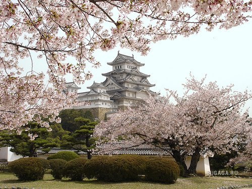 Lost Love | Киев