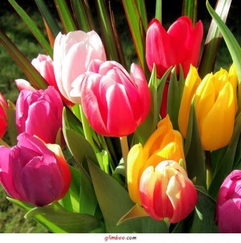 Галина Нестерук Galactica | Ростов-на-Дону