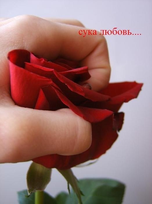 Александр Внуков PRADA | Одесса