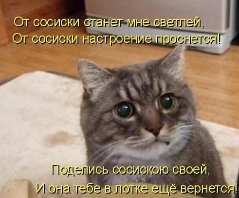 Никита Белоусов | Санкт-Петербург