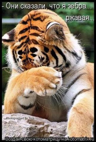 №32, Алексей Соловьев, Санкт-Петербург, Россия №32, Алексей Соловьев, Санкт-Петербург, Россия