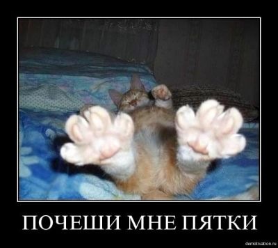 №41, Кристина Измайлова, 36 лет, Москва №41, Кристина Измайлова, 36 лет, Москва