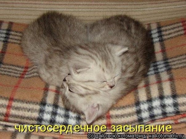 Ольга Козьякова | Санкт-Петербург