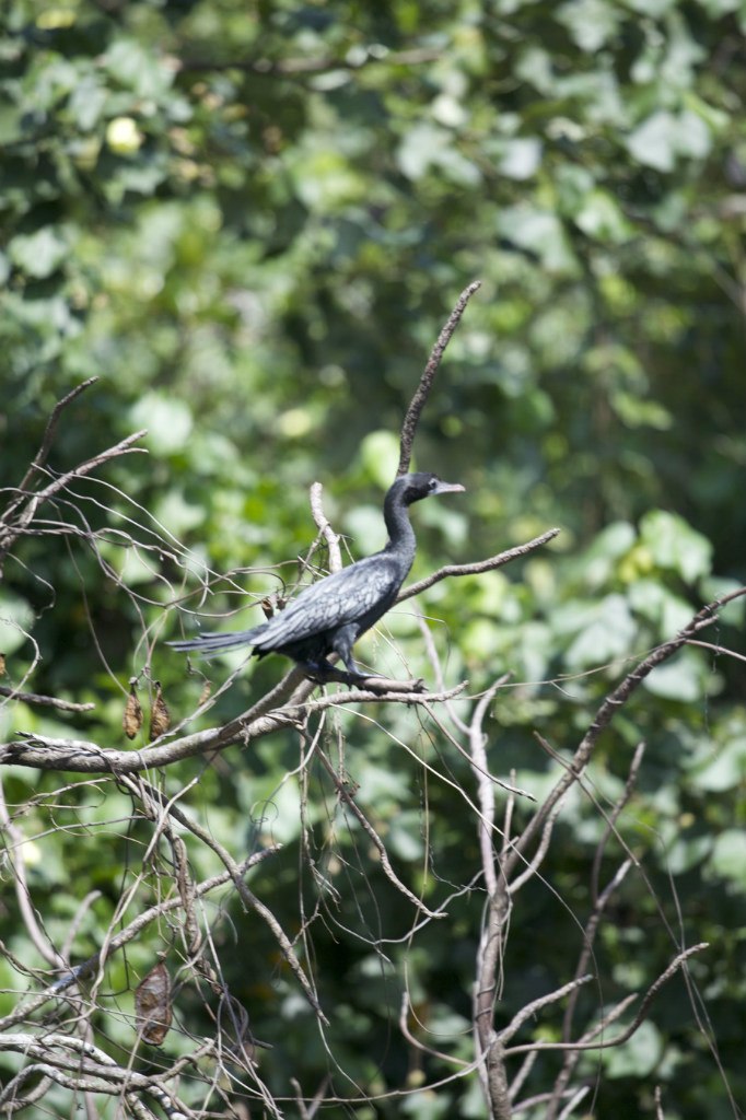 Ольга Куцериб | Киев