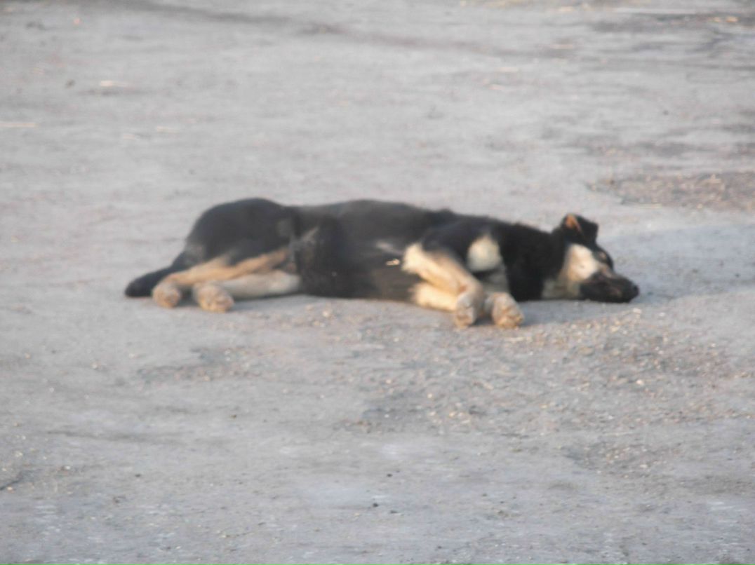 Валерій Ясиновий | Малая Антоновка