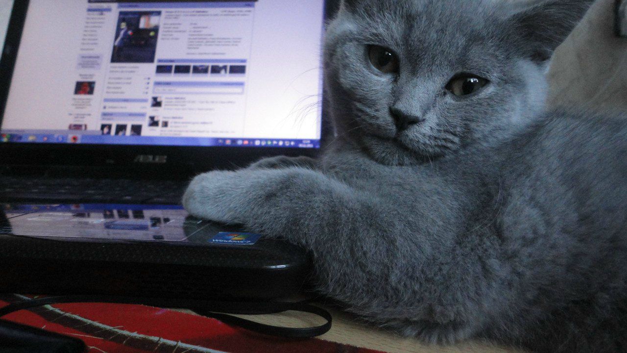 Олька Шибайло *** Лёлька *** | Северодвинск
