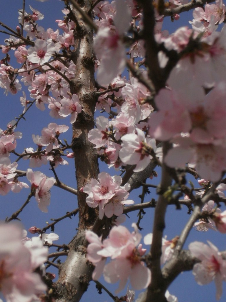 Саида Золина | Санкт-Петербург