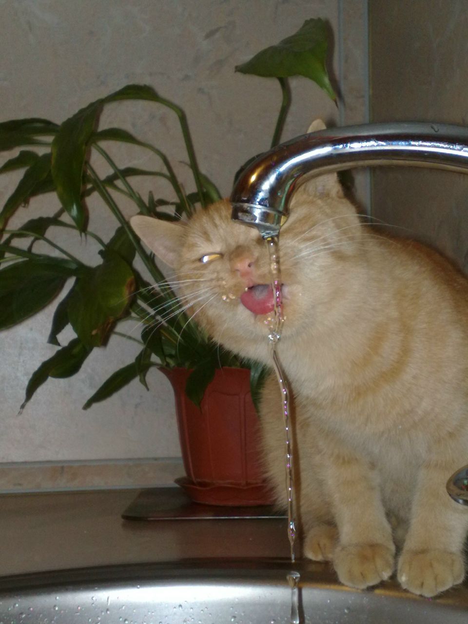 Марат Кудайгулов | Уфа