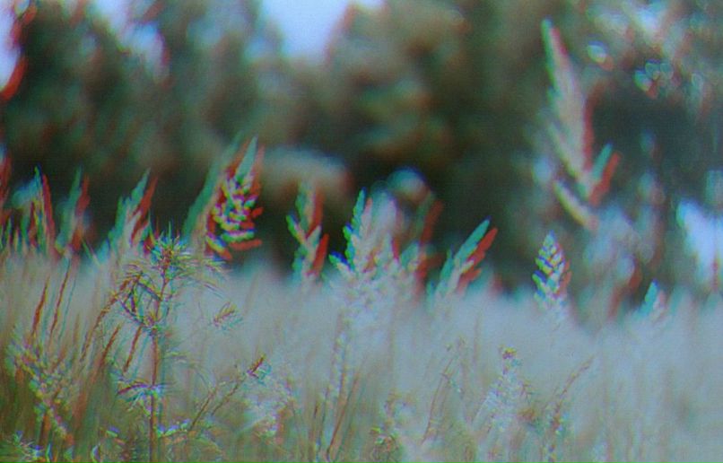 Мария Стефанова | Москва