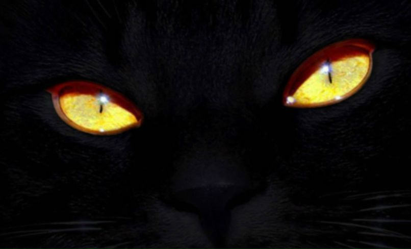 Надежда Балыкова | Санкт-Петербург