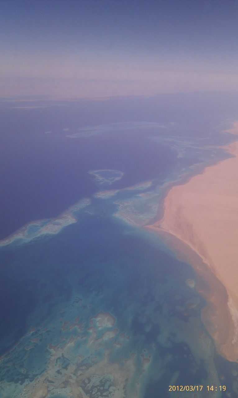 Ольга Устинова | Москва