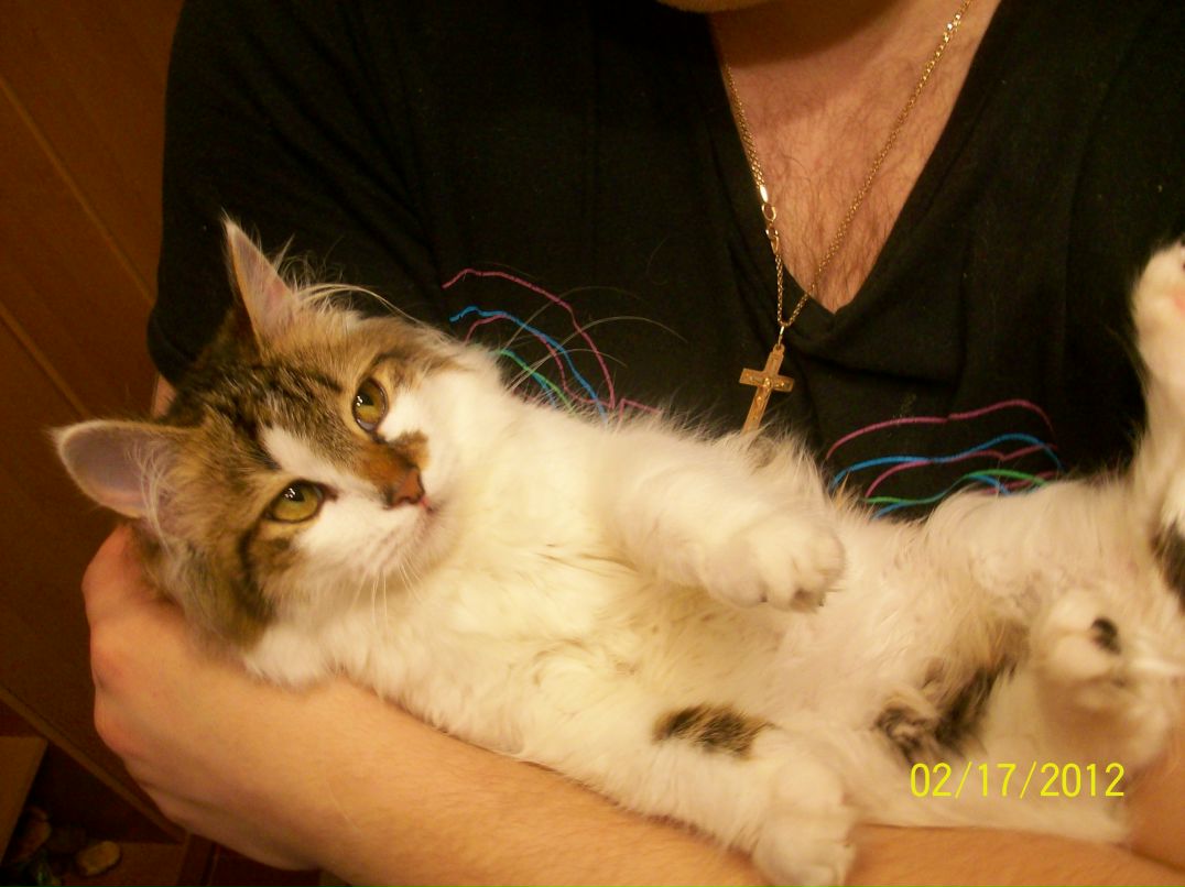 Андрей Зоря | Алчевск