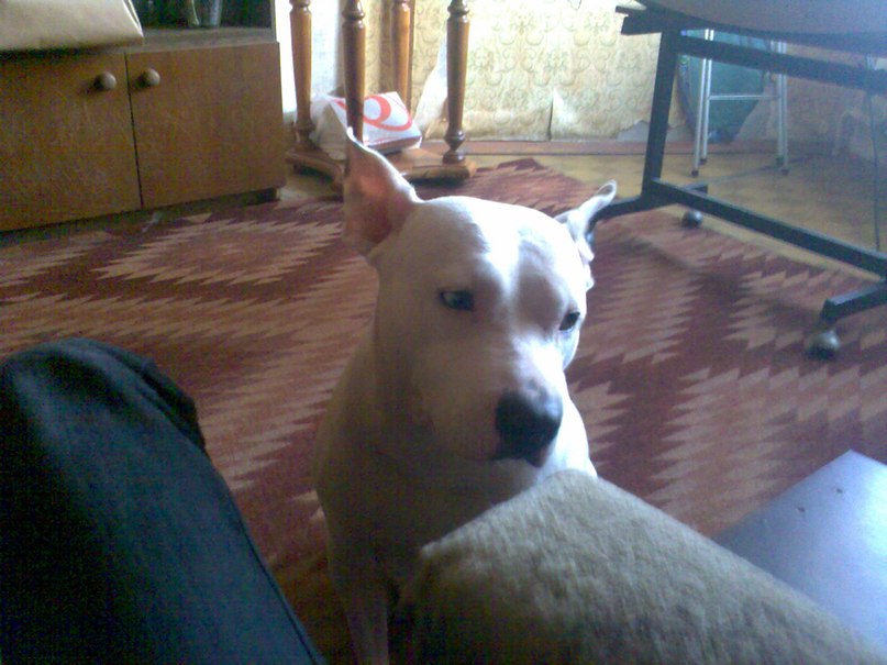 Роман Пенин | Липецк