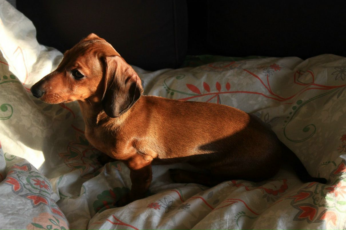 Татьяна Чеботаева | Санкт-Петербург