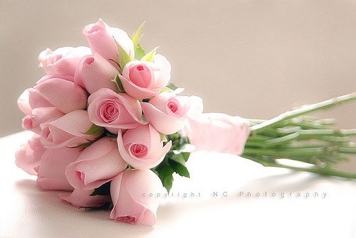 Анастасия Шавина | Москва