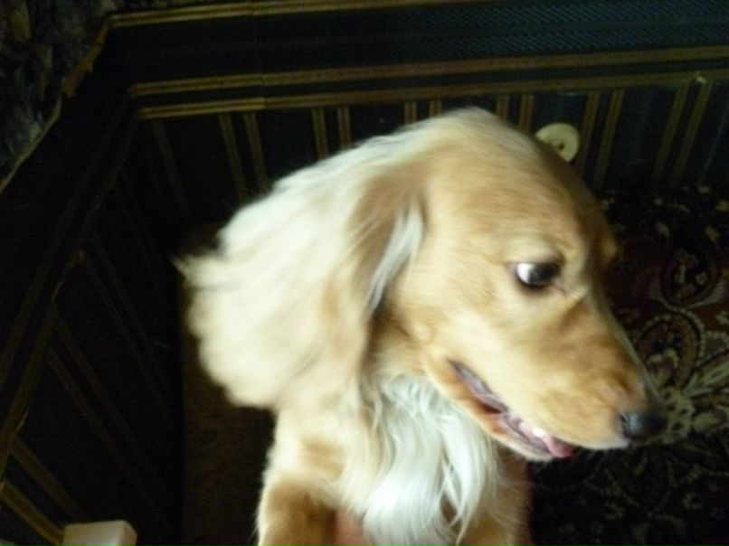 Илья Шибаев Вадимович | Карасук