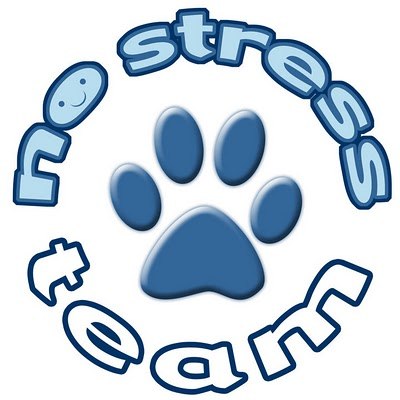 Кира Косс | Санкт-Петербург