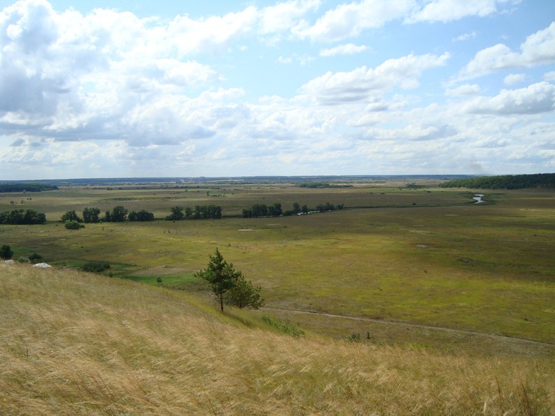 Дима Терентьев | Санкт-Петербург