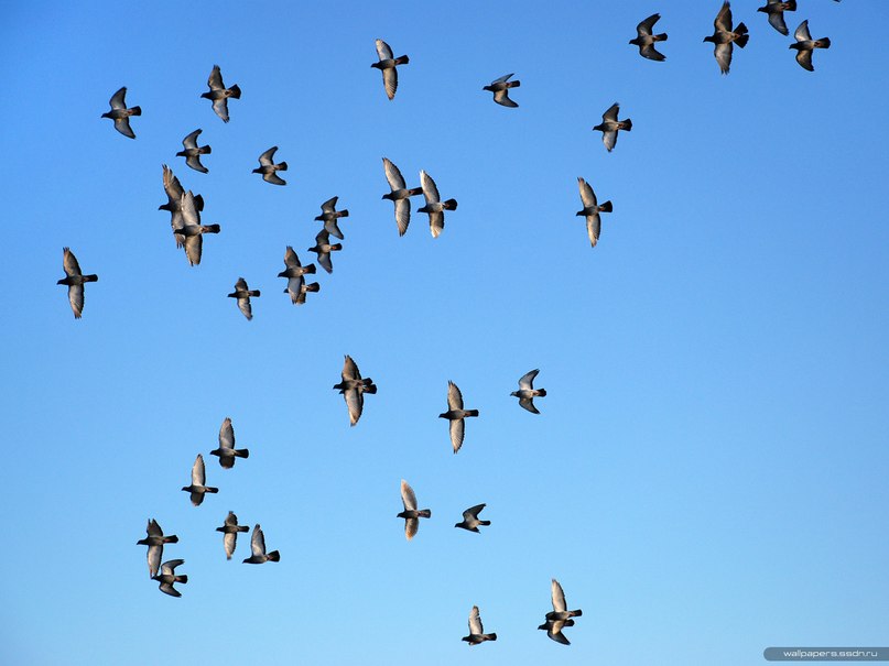 Андрей Якимов | Екатеринбург