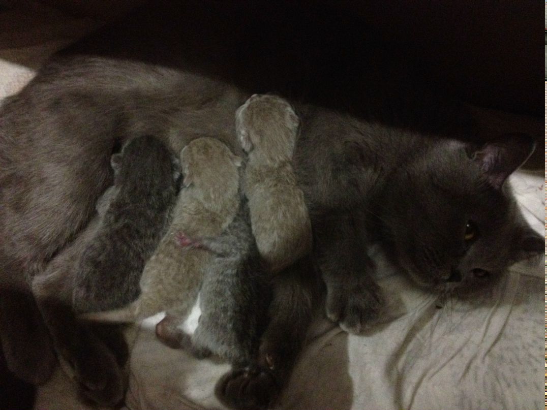 Irina Ivaylovskaya | Санкт-Петербург