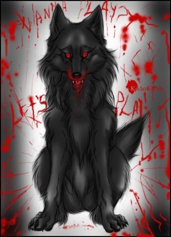 Виталий Андреев | Казань