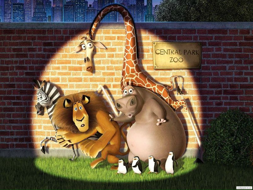 №10, Яков Марков, 35 лет №10, Яков Марков, 35 лет