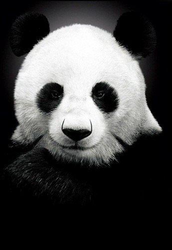 Таня Белая zadrot | Москва