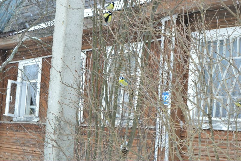 Просто Такая | Санкт-Петербург