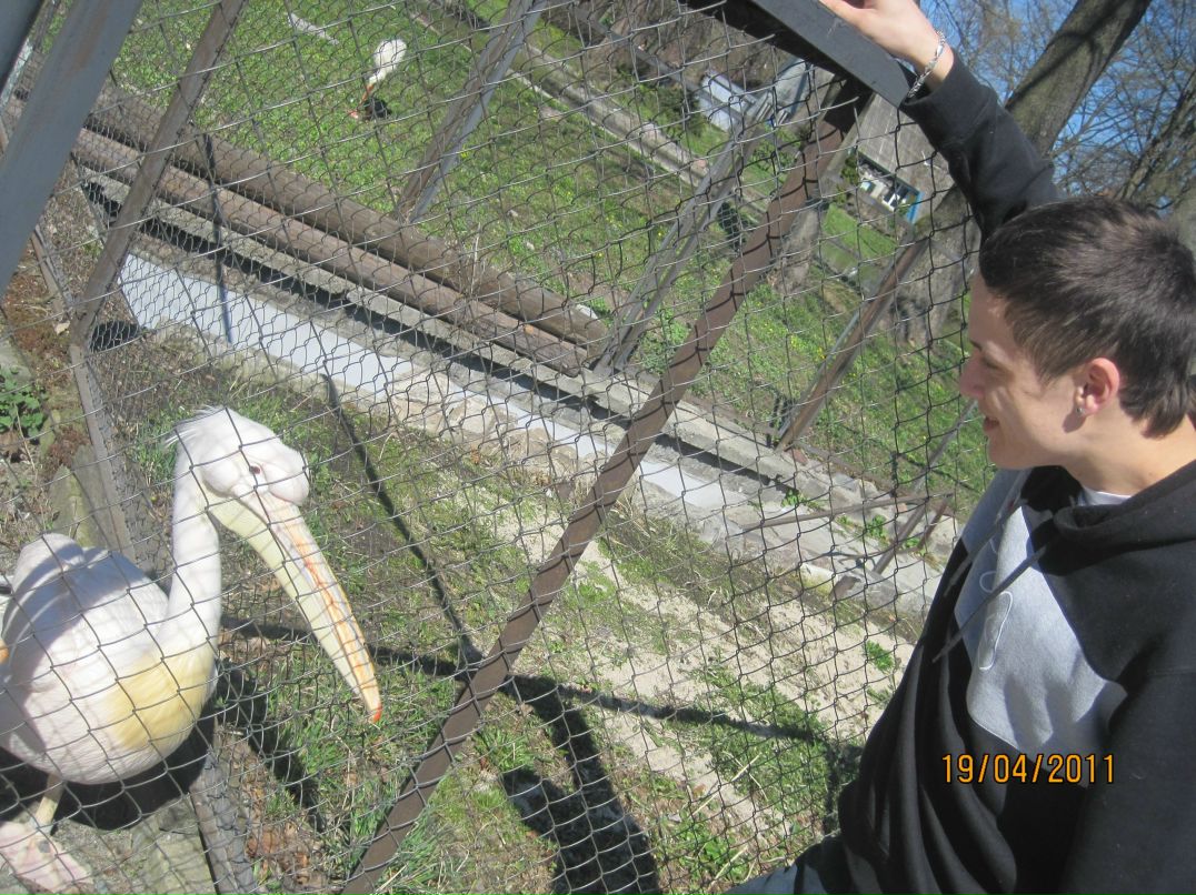 Павел Базанарчук | Калининград