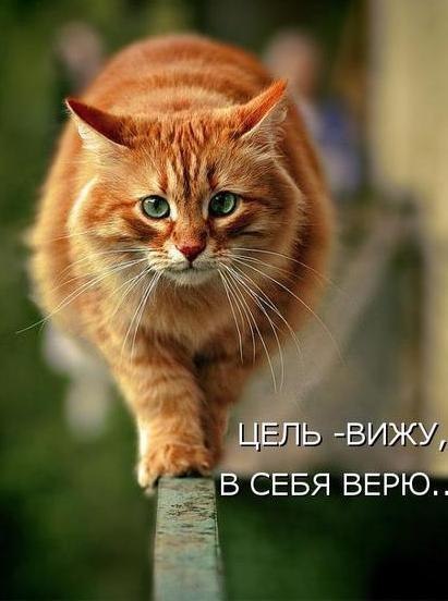 Olga Tsymbala | Львов