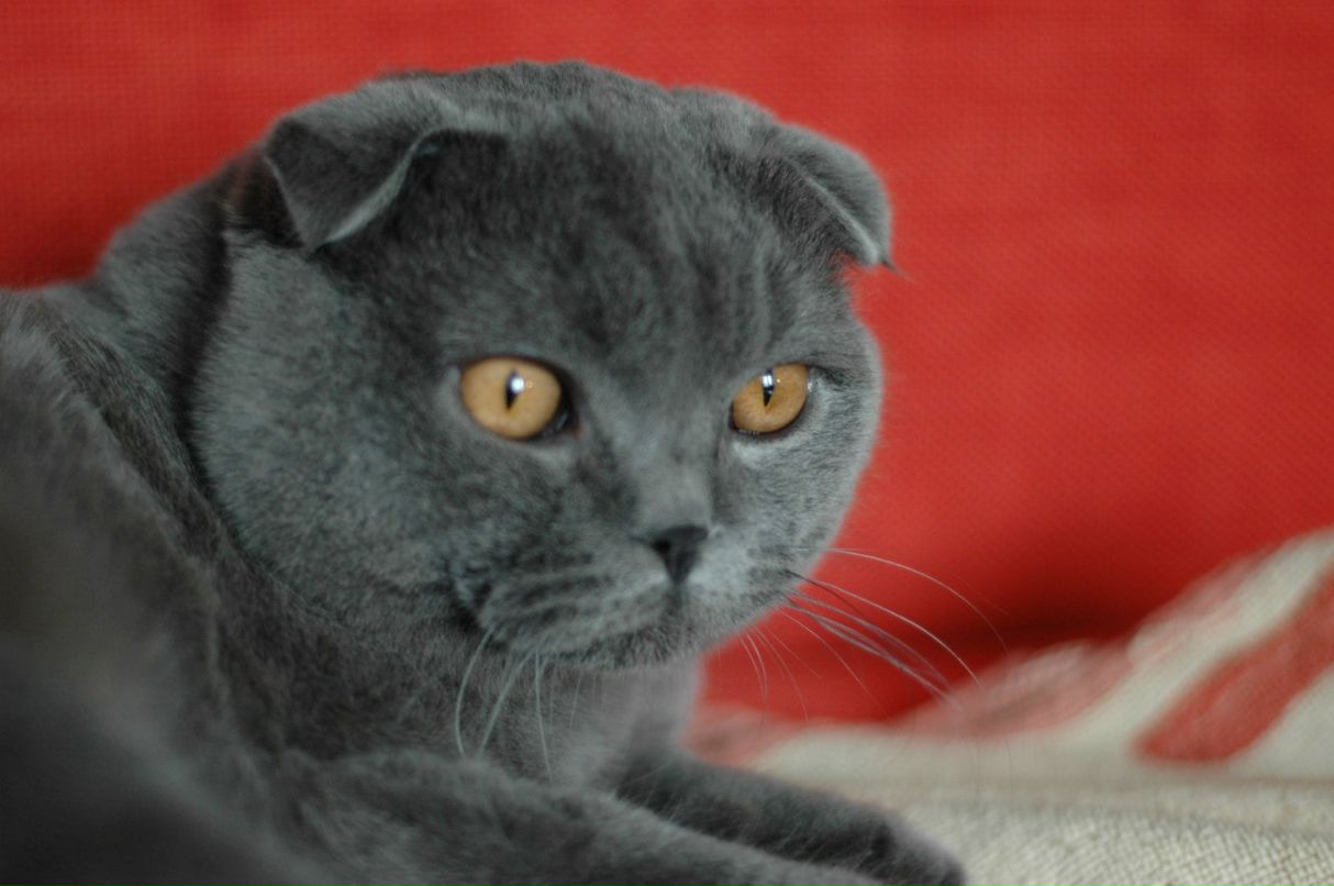 Анюта Гайдай | Москва