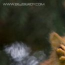 №82, Юлия Сосновская-Назарова, 35 лет, Москва, Россия №82, Юлия Сосновская-Назарова, 35 лет, Москва, Россия