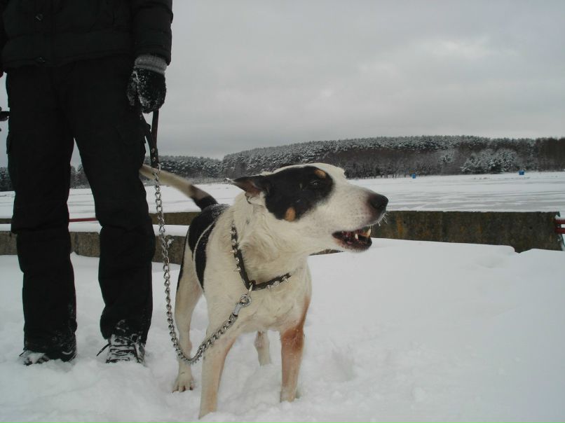 Кирилл Скребатович | Минск