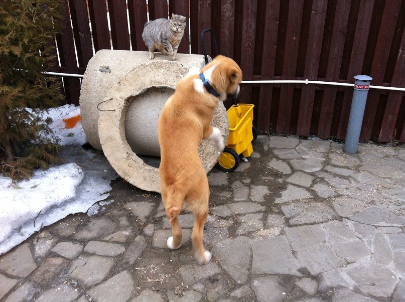 Татьяна Клейменова | Москва