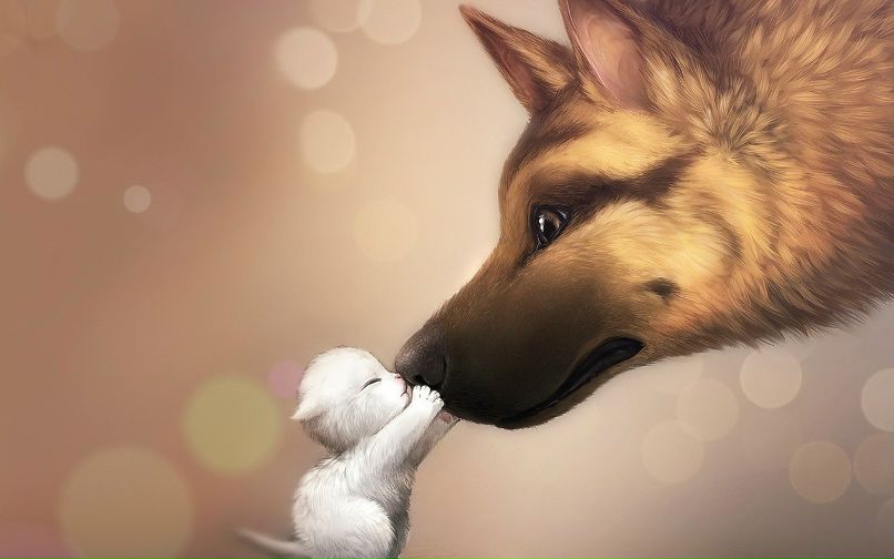 Марина Котюкова | Липецк