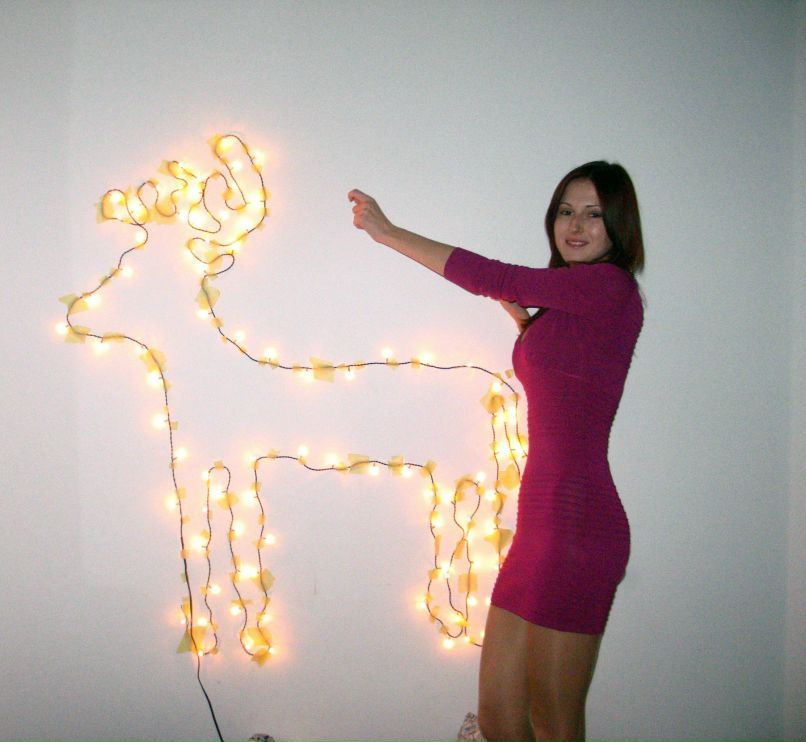 Maria Sullivan | Lincoln