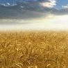 №28, Наталья Аджигитова, 58 лет, Астана №28, Наталья Аджигитова, 58 лет, Астана