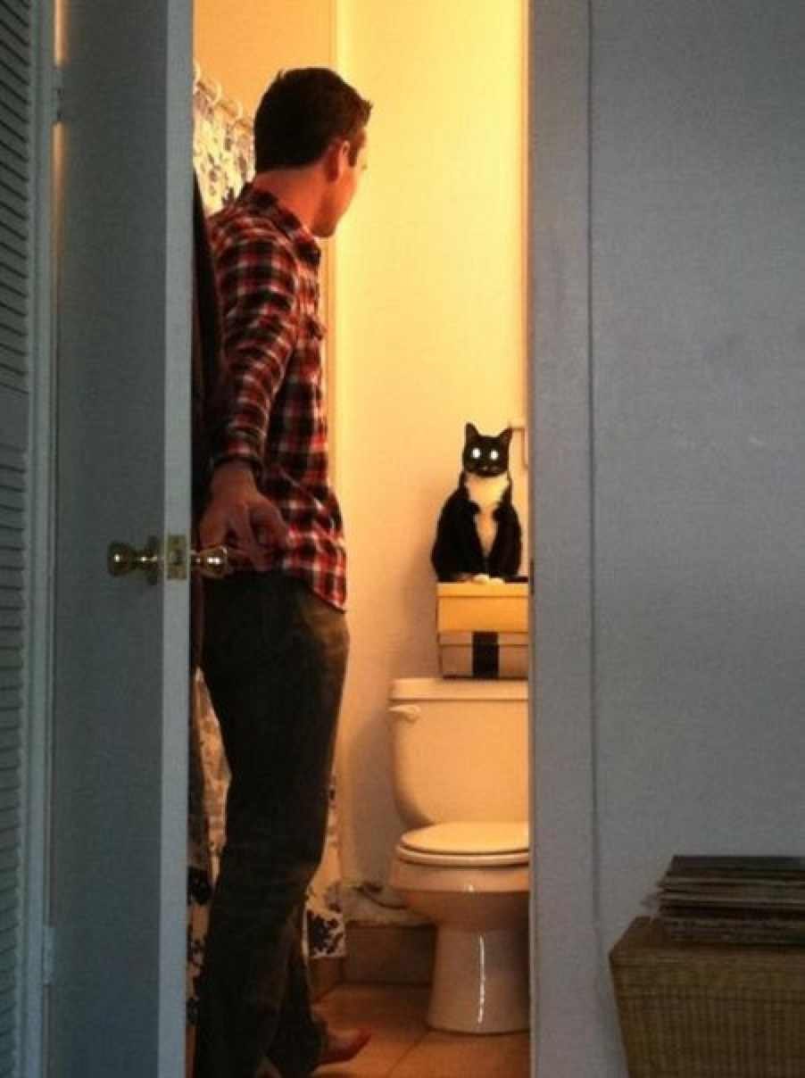 Sasha Rudnik | Milano