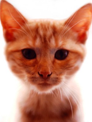 Аля Яковенко | Одесса