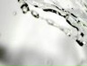 Ольга Говорунова | Майкоп