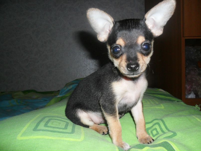 Мария Усольцева | Красноярск