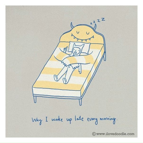 №168, Енотык Фридеман, Киев №168, Енотык Фридеман, Киев