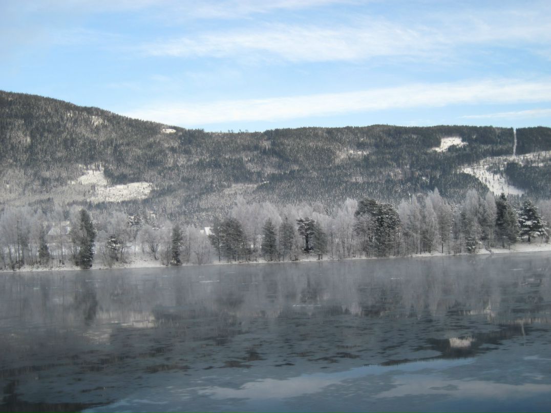 Ксения Фокша | Тверь