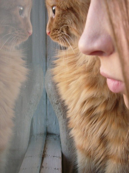 Мария Подпальная | Красноярск