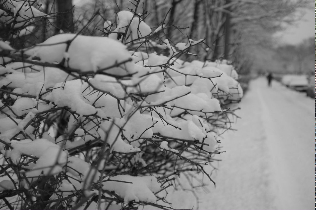 Катерина Морозюк | Иваново (деревня)