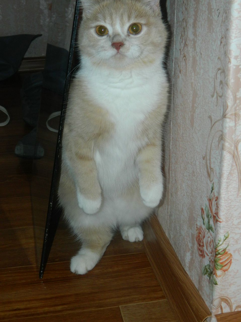 Margo Kovalik Romanovna | Омск